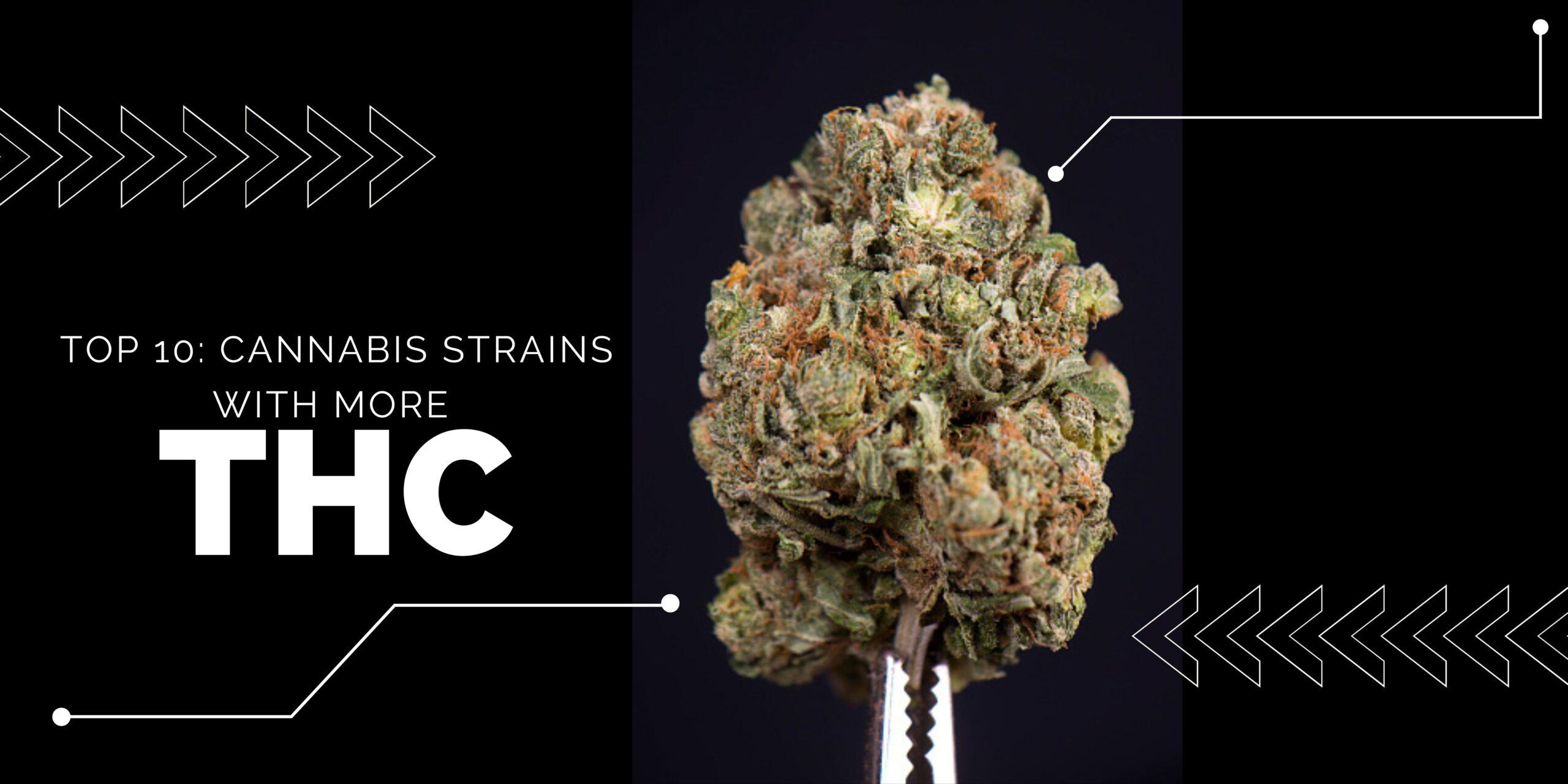 Top 10 : Marijuana with more THC