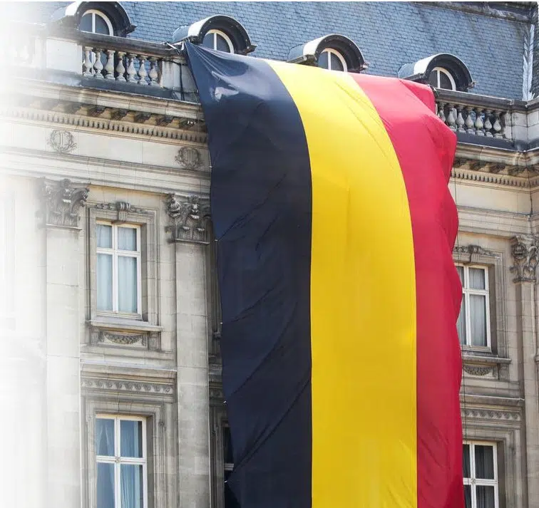 Semillas de marihuana en Bélgica