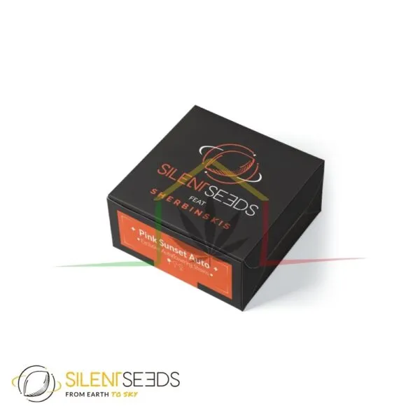 Pink Sunset Auto by Sherbinskis x Silent Seeds