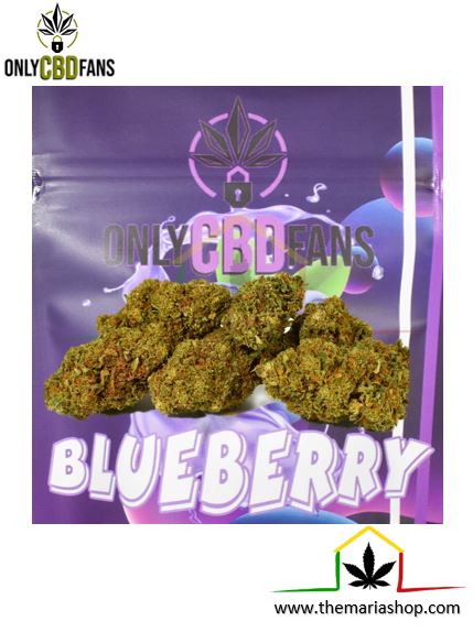 Flor CBD Blueberry de OnlyCBDFans
