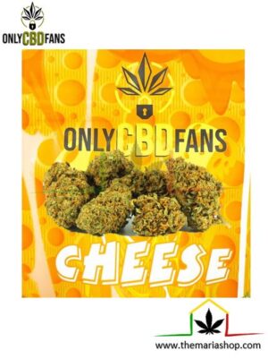 Flores CBD Cheese de OnlyCBDFans