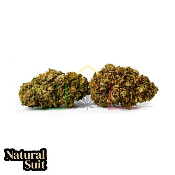 Flor CBD Gorilla Glue natural suit