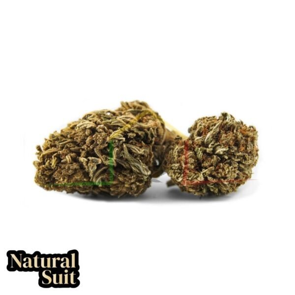 flor cbd jack herer natural suit
