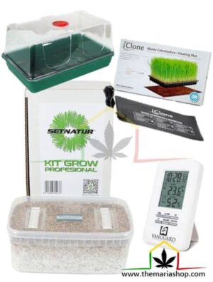 Pack kit cultivo setas premium