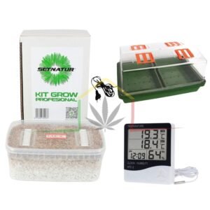 Pack kit cultivo setas deluxe