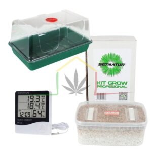 Pack kit cultivo setas económico