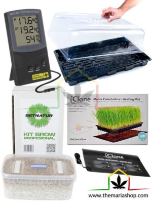 Pack kit de cultivo de setas alucinógenas premium XL