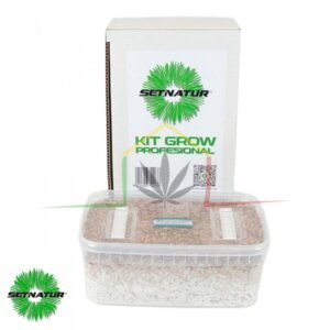 Kit pan de setas Mazapatec