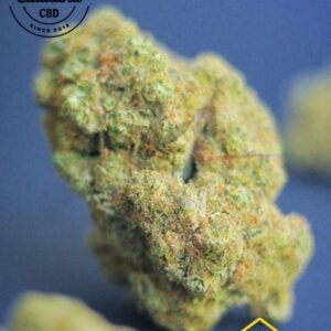 Tropic Diesel CBD