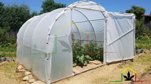 empieza el cultivo en invernadero