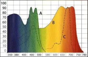 Grafica colores