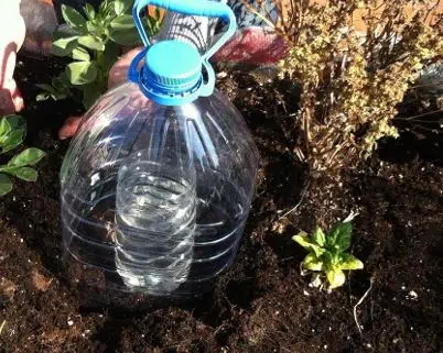 Condensation irrigation