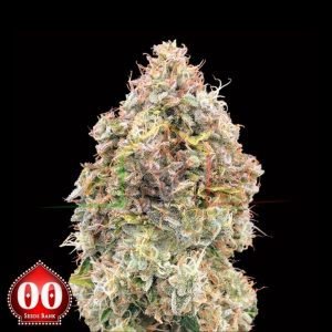 Do-Si-Dos Cookies Fast - 00 Seeds