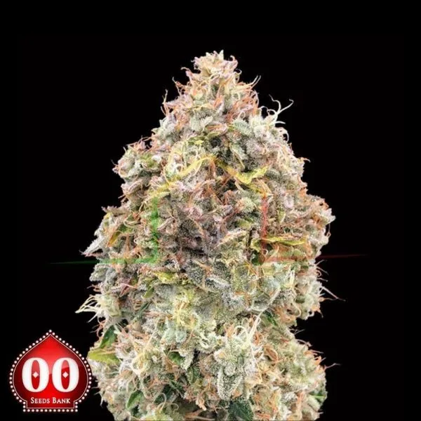 Do-Si-Dos Cookies Fast - 00 Seeds