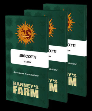 Biscotti - Barney's Farm