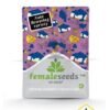 AUTO BLUEBERRY CHEESECAKE - Imagen 2