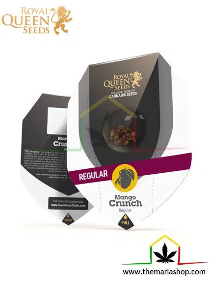 MANGO CRUNCH RÉGULIÈRE – Image 2