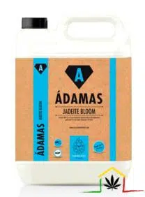 JADEITE BLOOM - ÁDAMAS