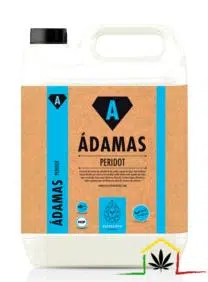PERIDOT - ADAMAS