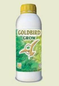 GOLDBIRD GROW