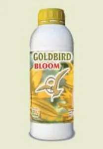 GOLDBIRD BLOOM