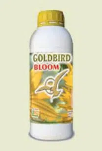 GOLDBIRD BLOOM