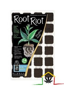 ROOT RIOT (24 CUBOS)