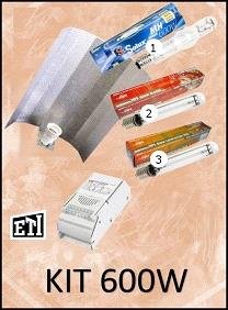 KIT ILUMINACIÓN 600W BÁSICO