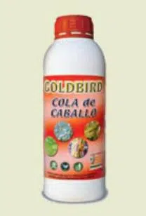 GOLDBIRD COLA DE CABALLO