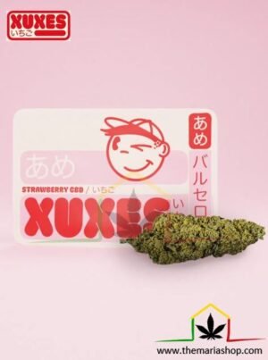 FLEURS DE CBD STRAWBERRY