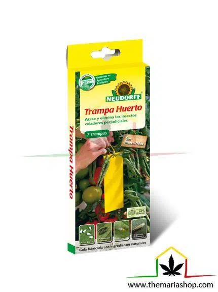 LES RUBANS ADHÉSIFS ATTRAPENT LES INSECTES