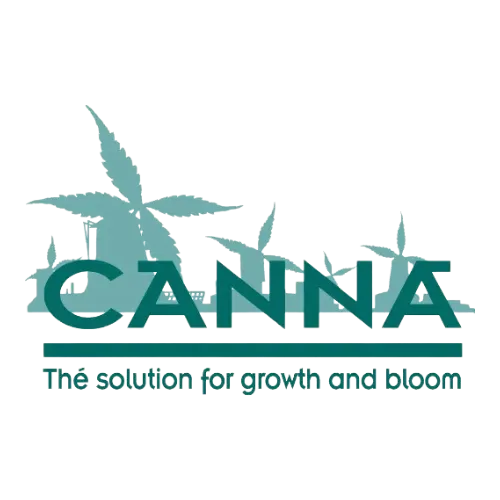 Canna