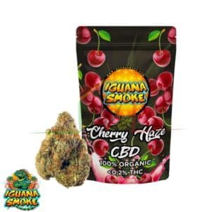 Cherry haze cbd iguana smoke
