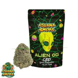 fleurs cbd alien og iguana smoke 1000x1000