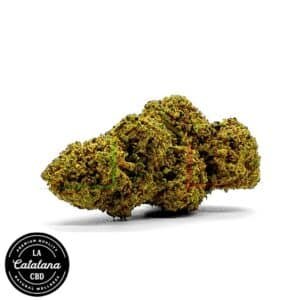flores cbd bea