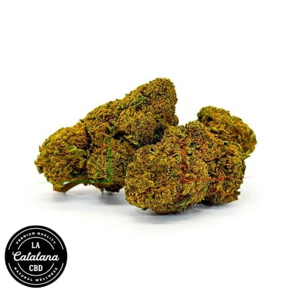 flores cbd flor flamenca cbd la catalana