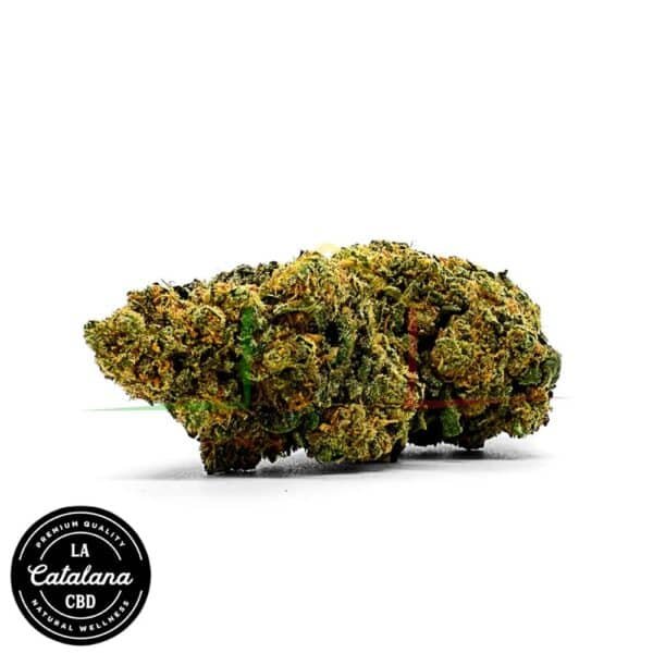flores cbd new york cbd la catalana 1000x1000