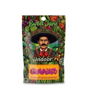 CBD guavalato Sweet jane