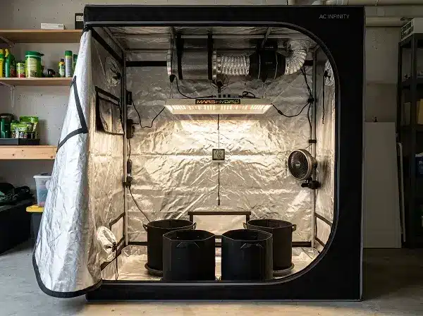 Installation d'une culture indoor : tente avec lampe LED, extracteur et filtre à charbon